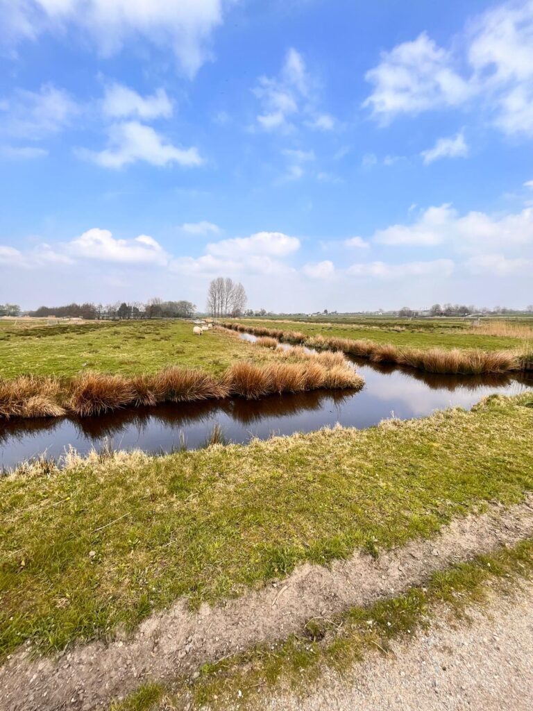 Afbeelding van de Weerlanerpolder in Hillegom